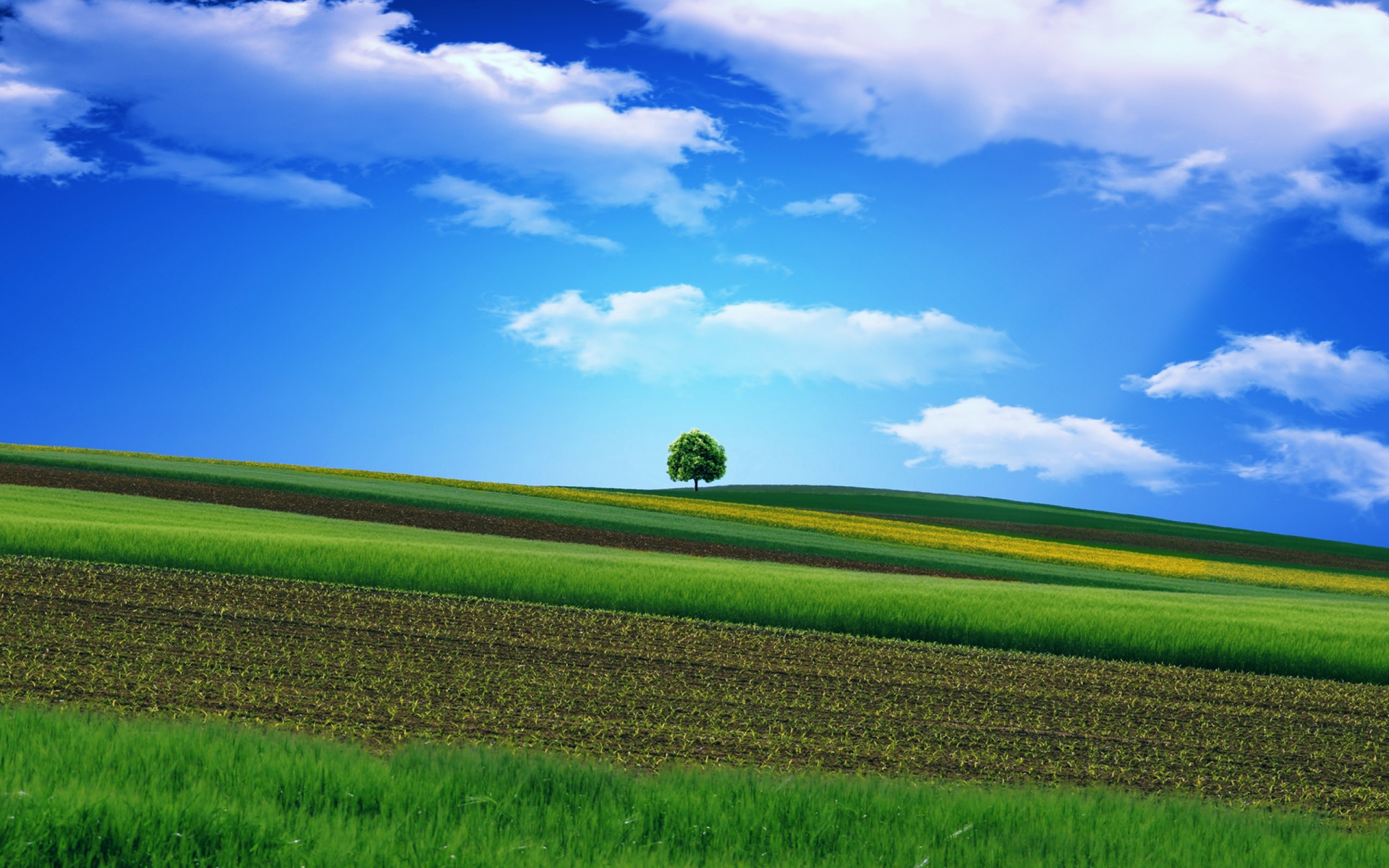 green landscape wallpaper,green,natural landscape,sky,grassland,field