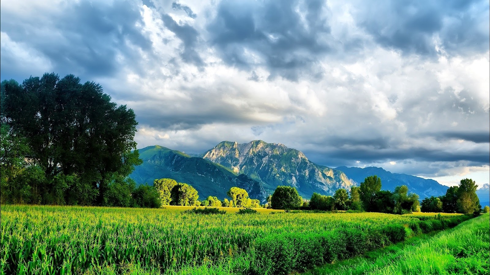 grüne landschaft tapete,natürliche landschaft,natur,himmel,feld,wiese