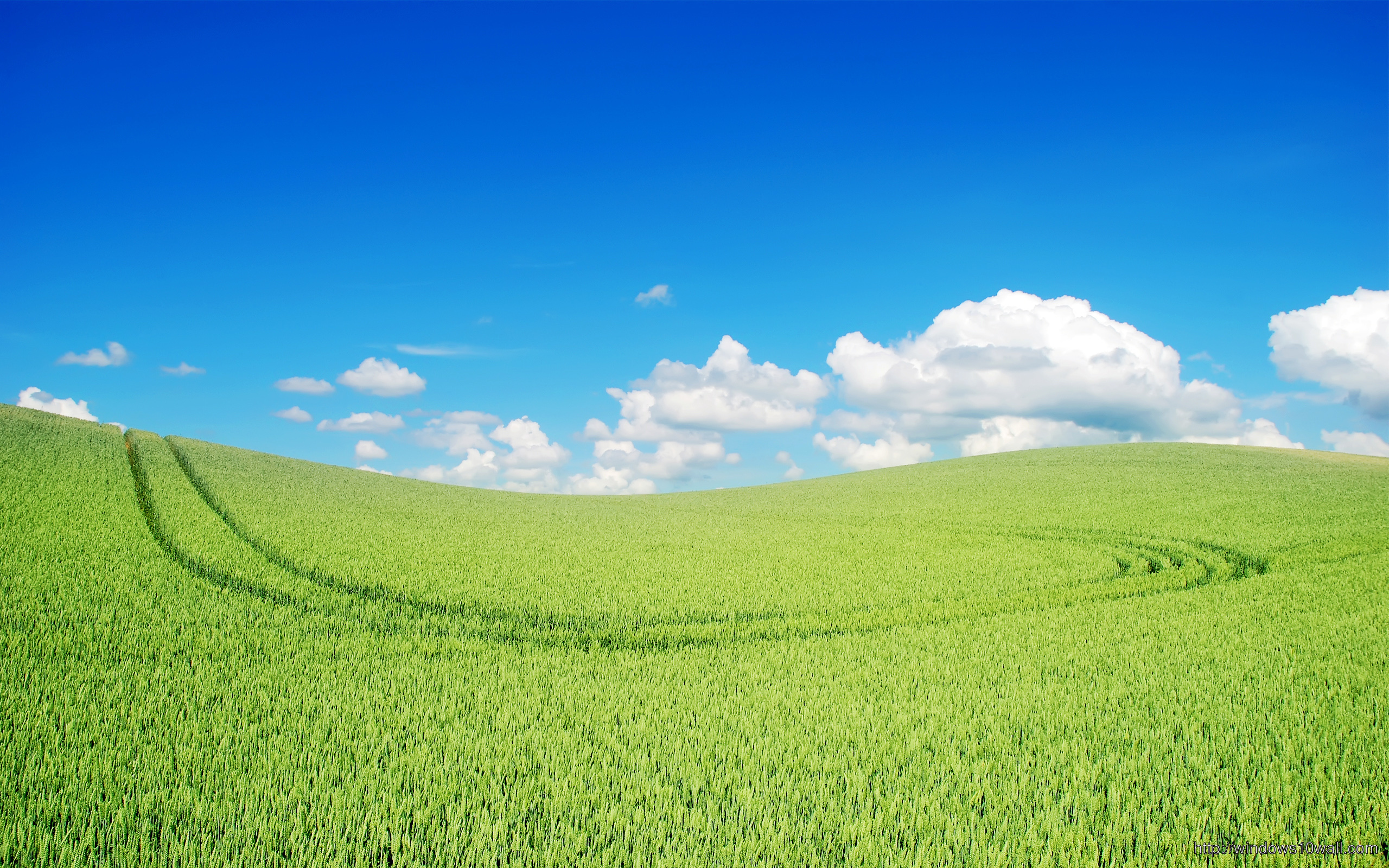 fondo de pantalla de paisaje verde,pradera,paisaje natural,verde,campo,naturaleza