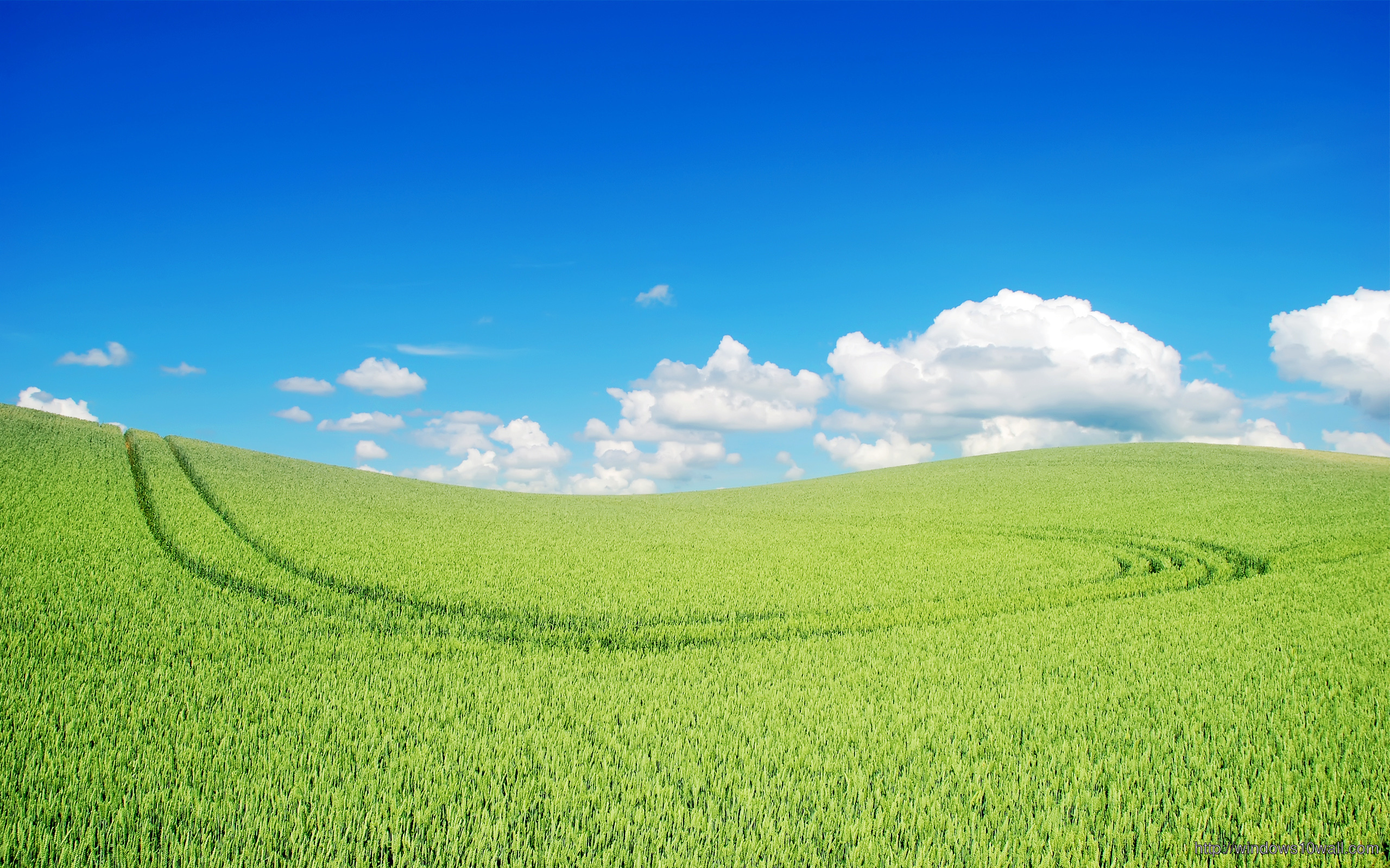 fond d'écran paysage vert,prairie,paysage naturel,vert,champ,la nature