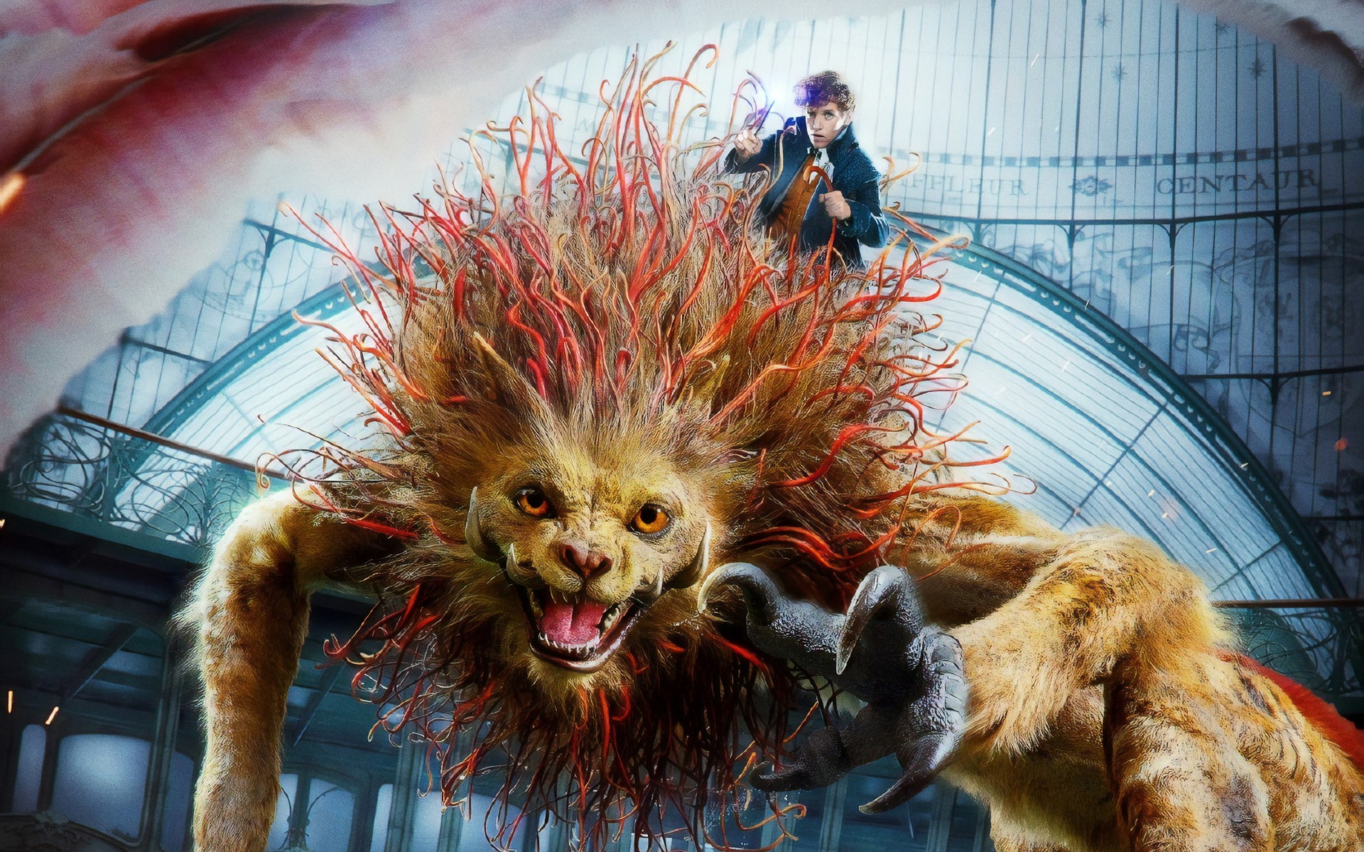 fantastic beasts wallpaper,organism,fictional character,fiction