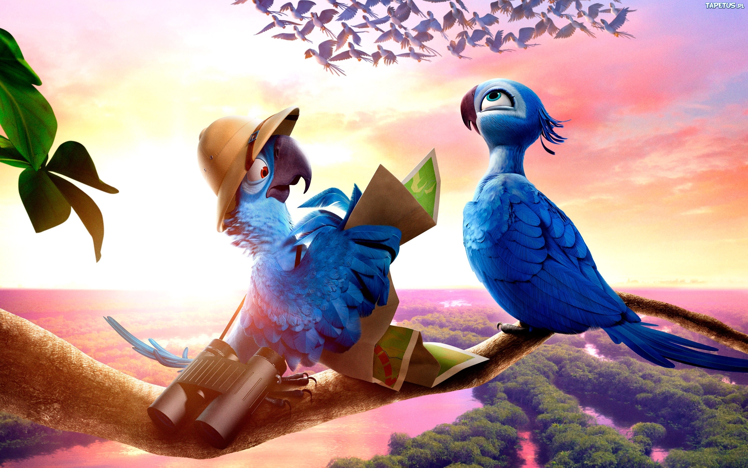 filmy wallpaper,bird,animated cartoon,parrot,animation,pigeons and doves