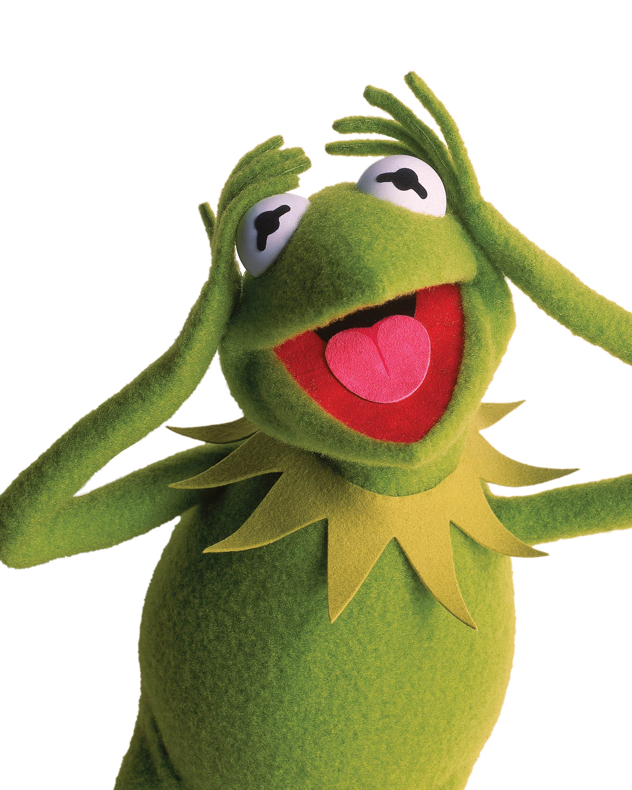 kermit wallpaper,grün,plüschtier,plüsch,spielzeug,animation