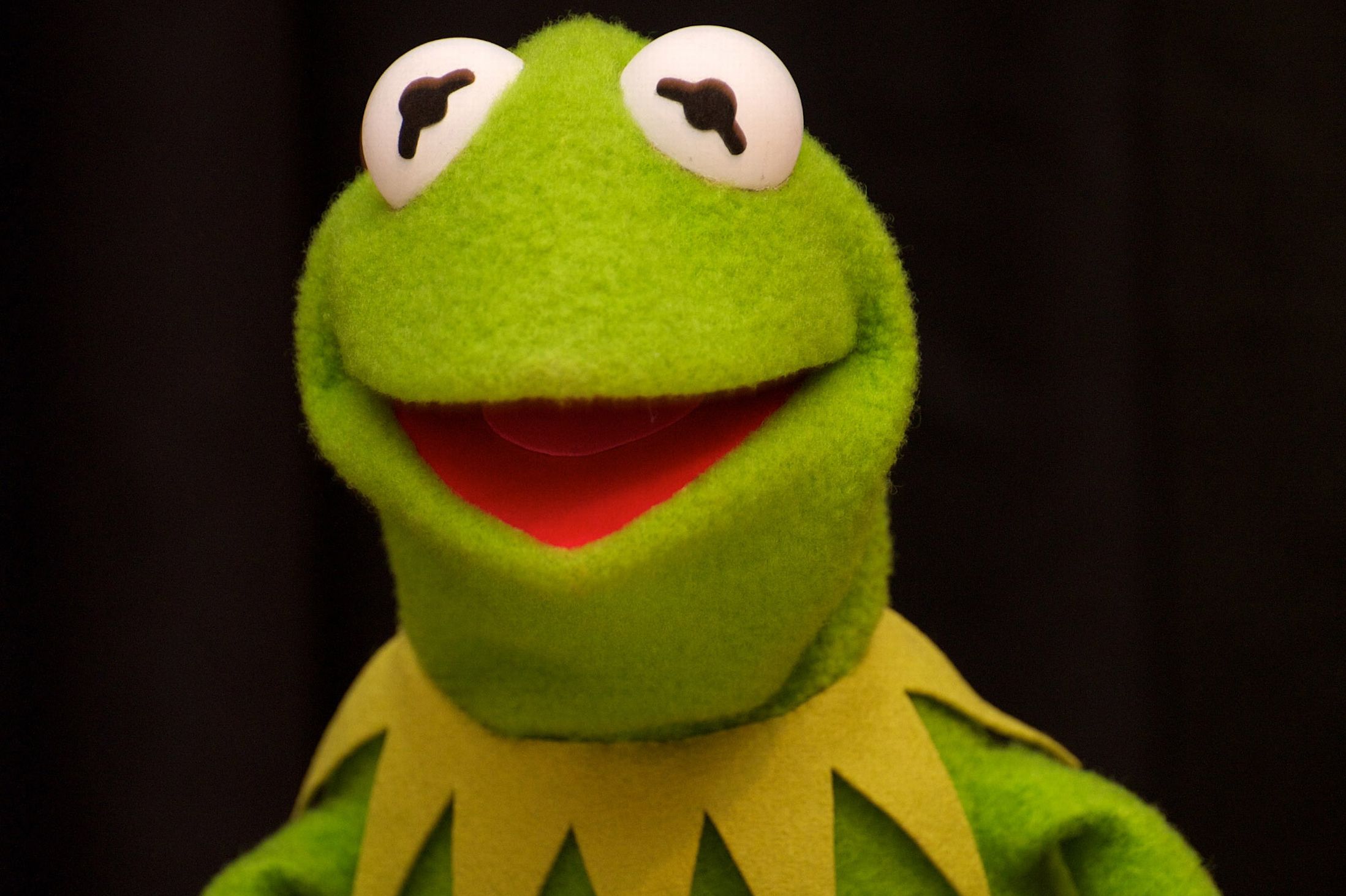 fond d'écran kermit,vert,grenouille,jouet,jouet en peluche,jaune