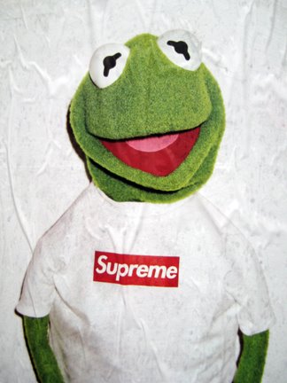 supreme kermit wallpaper,green,frog,amphibian,toy,toad