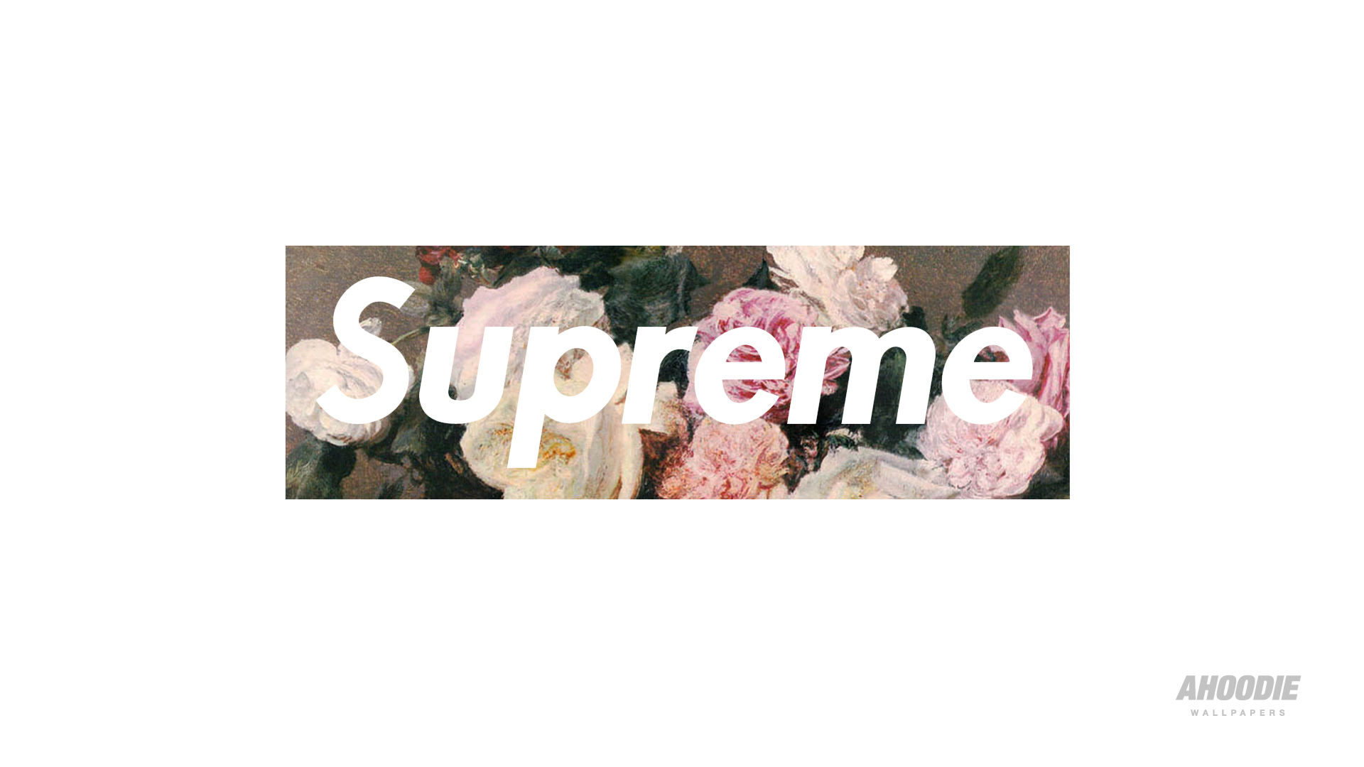 supreme floral wallpaper,text,pink,font,human,photography
