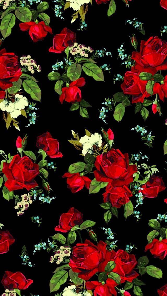 papel tapiz floral supremo,flor,planta floreciendo,rojo,rosa,planta