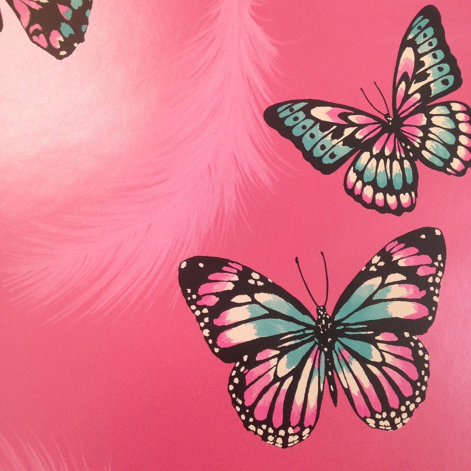 butterfly wallpaper uk,butterfly,cynthia (subgenus),insect,moths and butterflies,pink