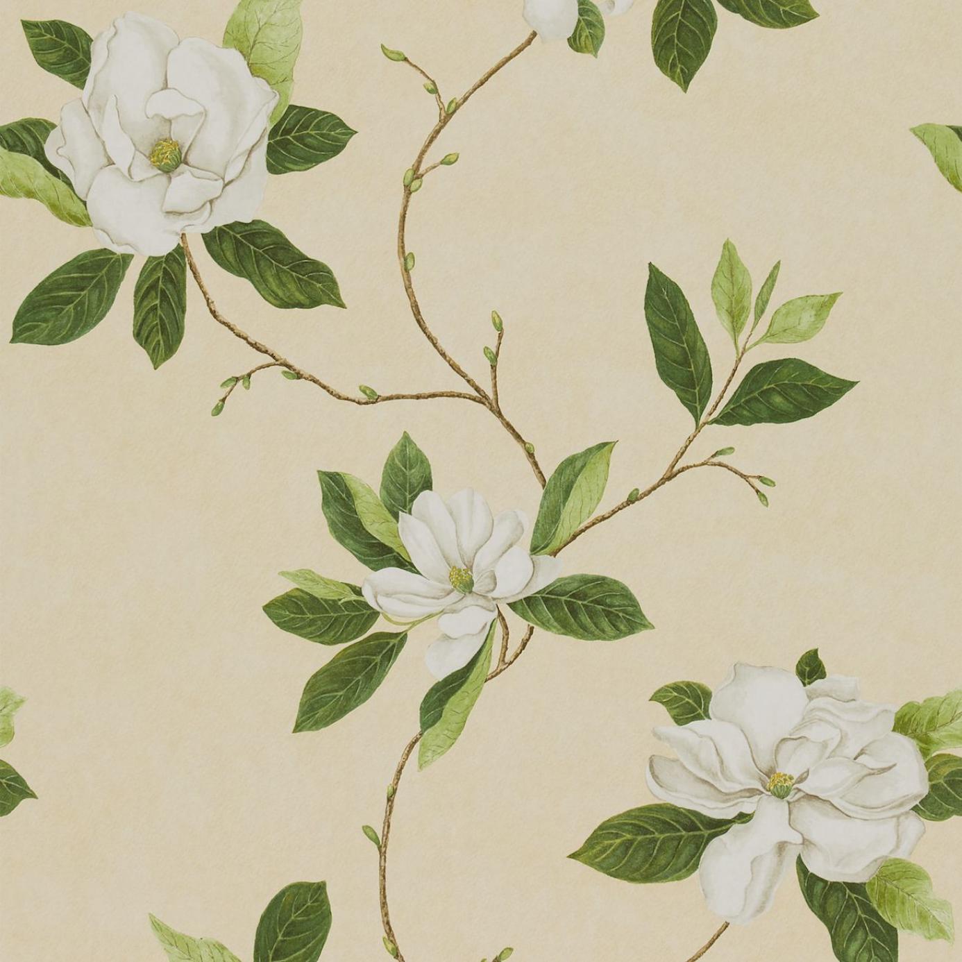 green wallpaper uk,flower,plant,botany,pattern,branch