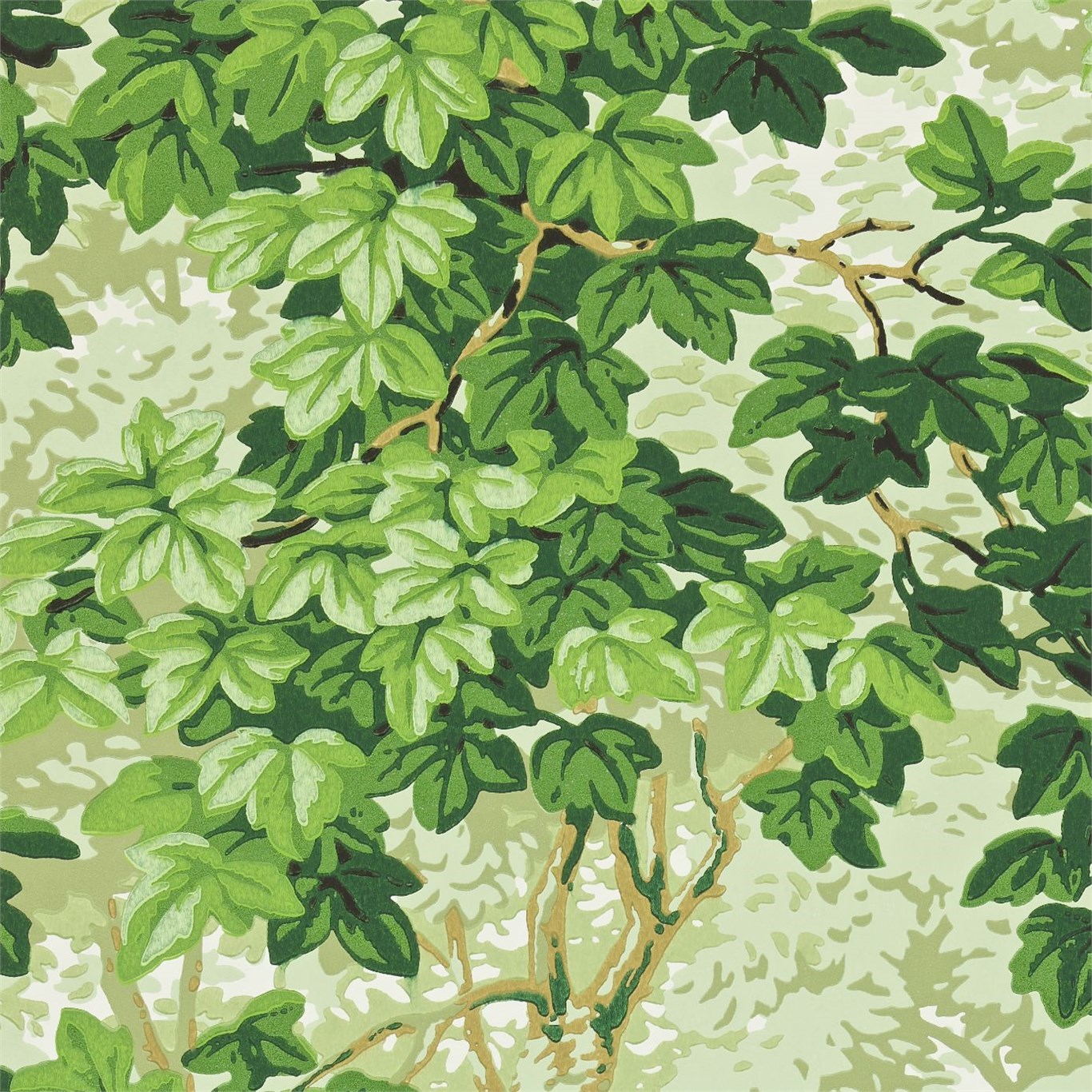 green wallpaper uk,plant,flower,leaf,tree,woody plant