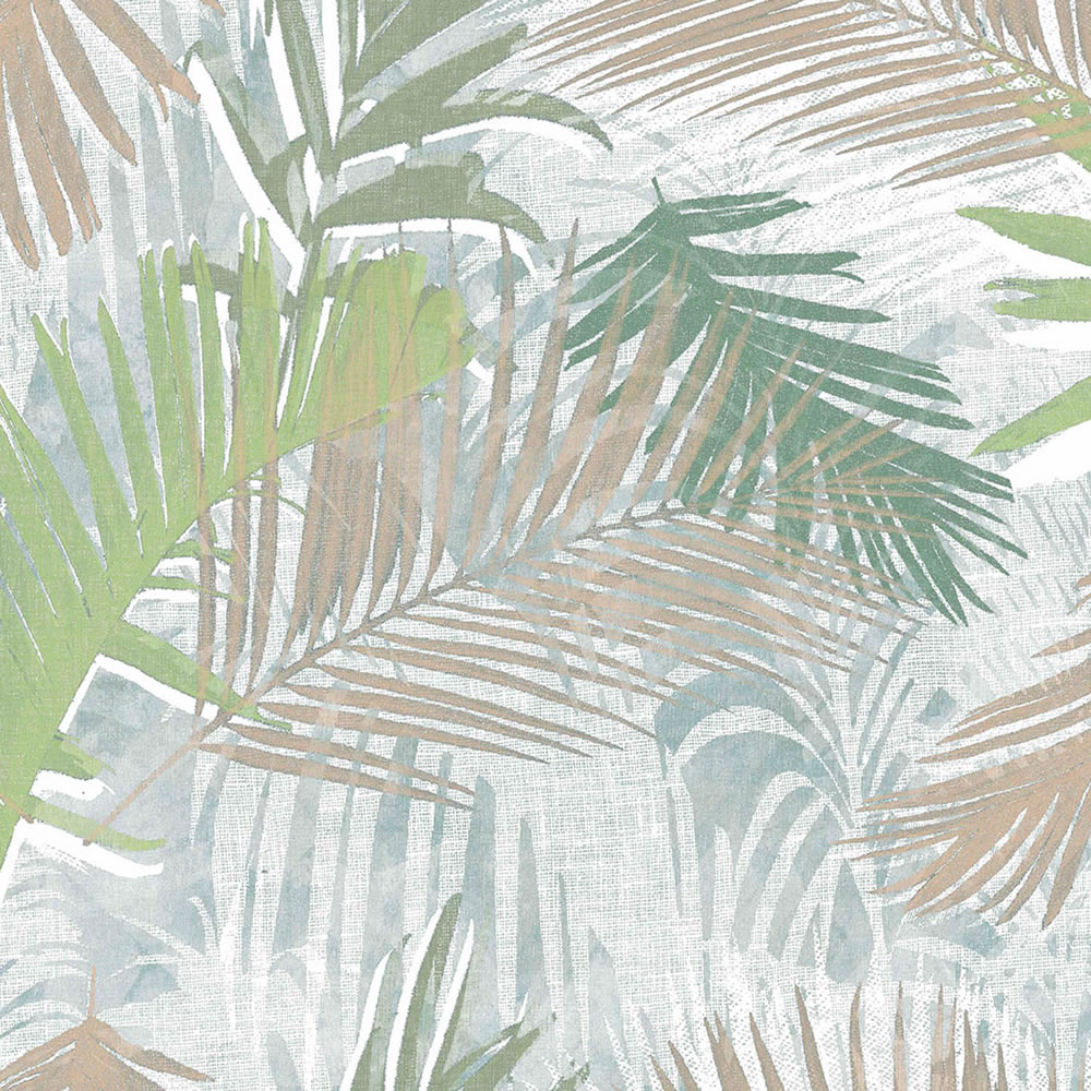 papel pintado verde y marrón,árbol,planta,hoja,palmera,modelo