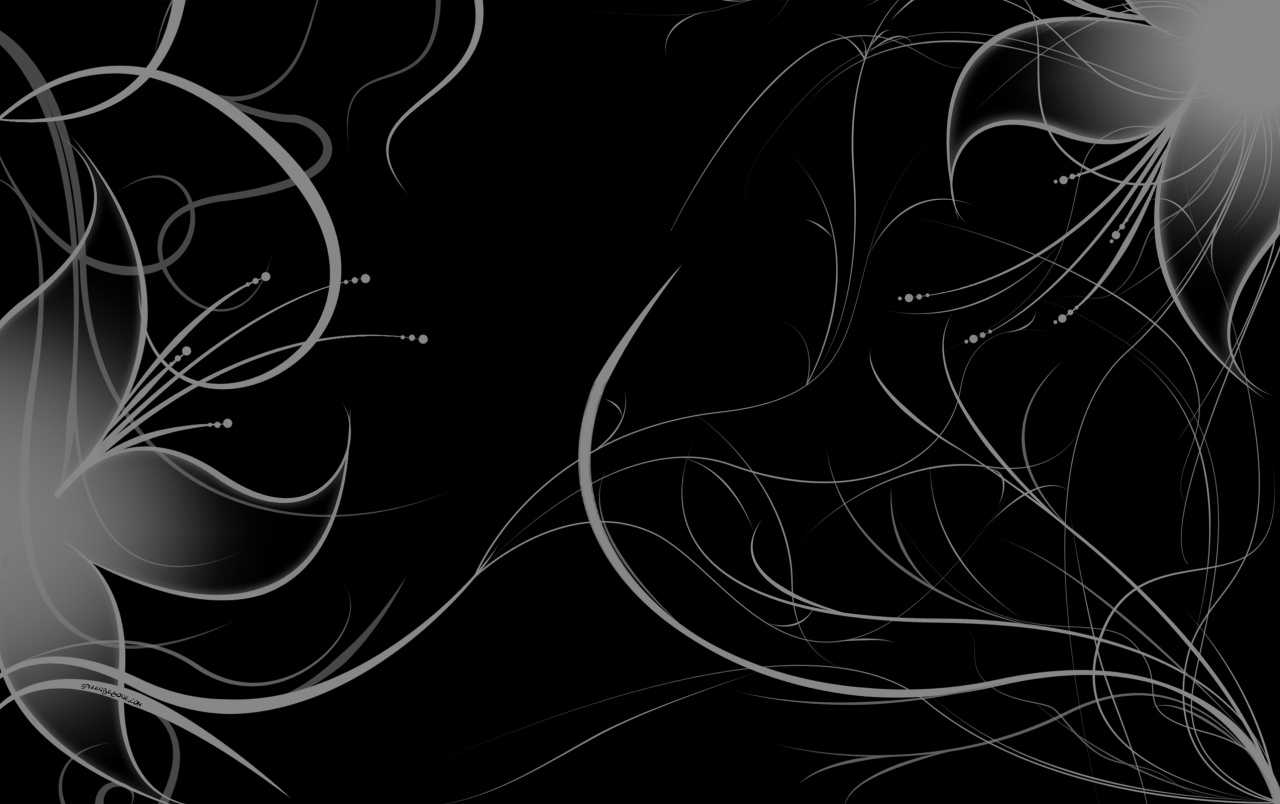黒と白のデスクトップの壁紙 木 自然 トランク 自然の風景 黒と白 Wallpaperuse 黒と白のデスクトップの壁紙 木 自然 トランク 自然の風景 黒と白 Wallpaperuse