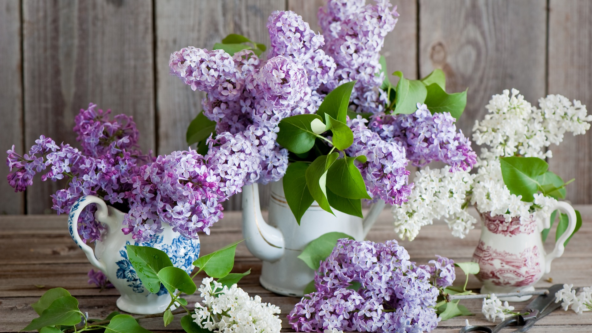 lilac wallpaper b&q,flower,lilac,lilac,lilac,purple (724630