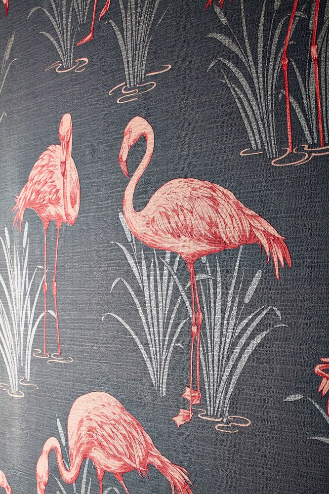 flamingo wallpaper b&q,flamingo,bird,greater flamingo,water bird,pink