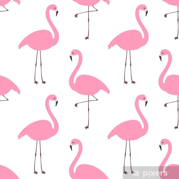 flamingotapete b & q,flamingo,größerer flamingo,vogel,rosa,wasservogel