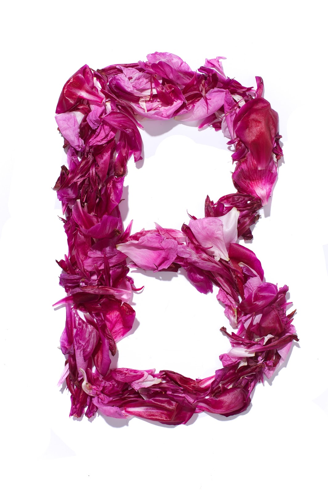 rose wallpaper b&q,scarf,pink,clothing,fashion accessory,magenta