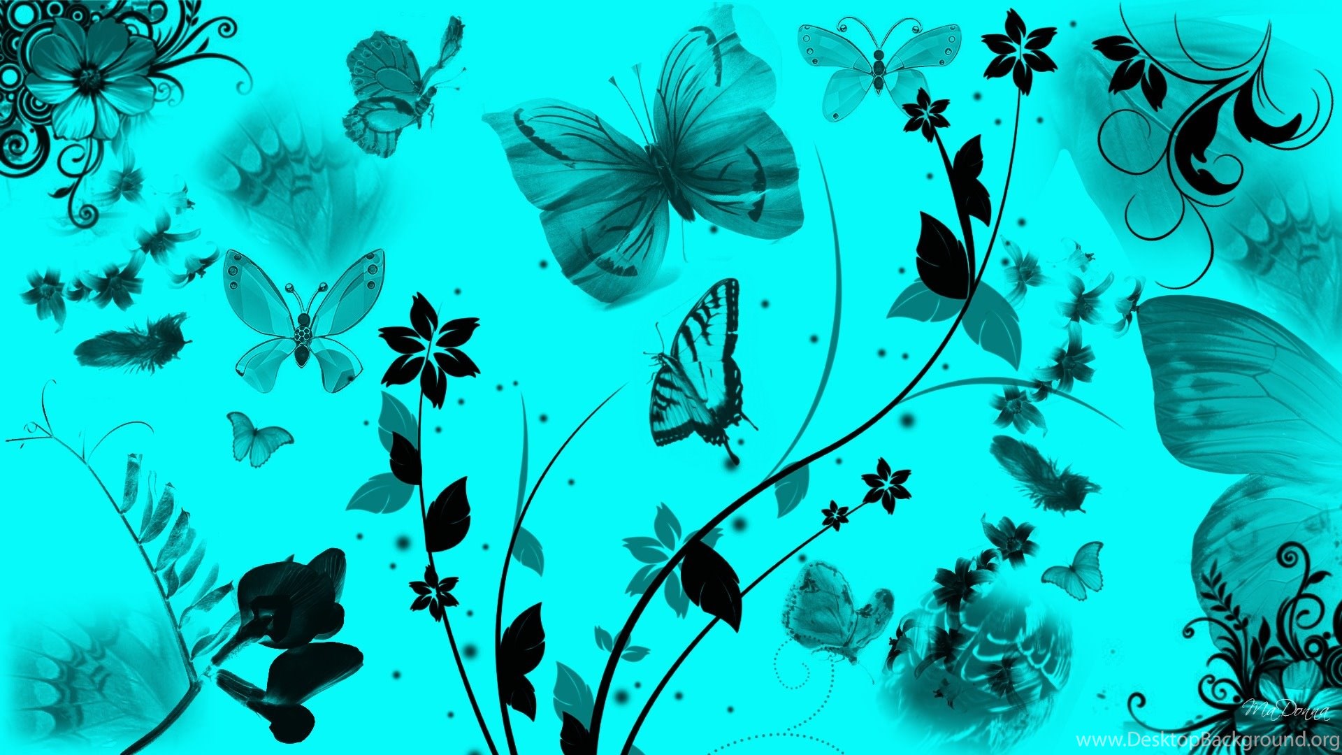 teal butterfly wallpaper,green,turquoise,teal,organism,leaf