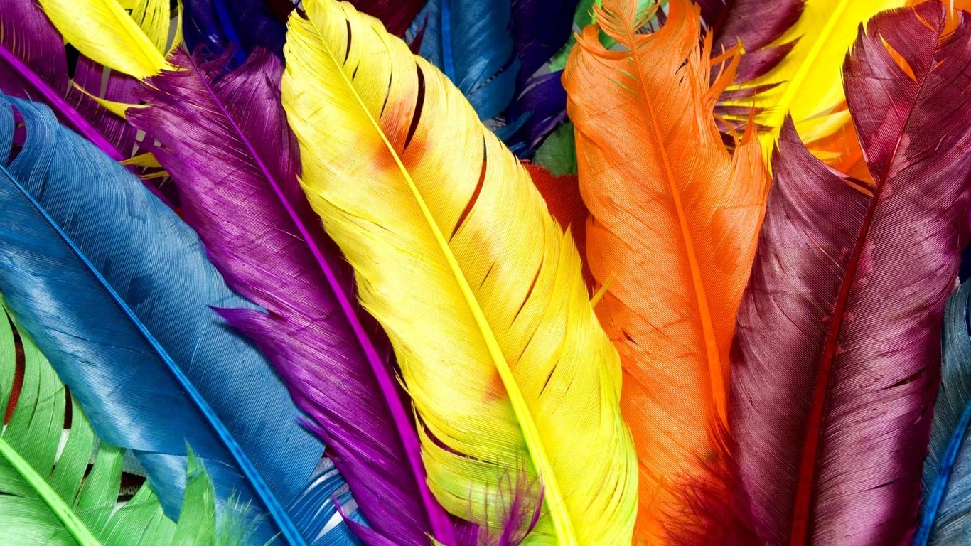 feather wallpaper b&q,feather,yellow,plant,flower,natural material