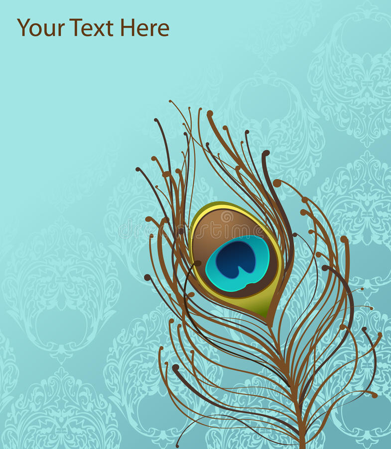 feather wallpaper b&q,feather,turquoise,aqua,eye,organism (#725307