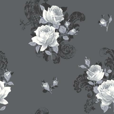black feature wallpaper,white,flower,rose,black and white,plant