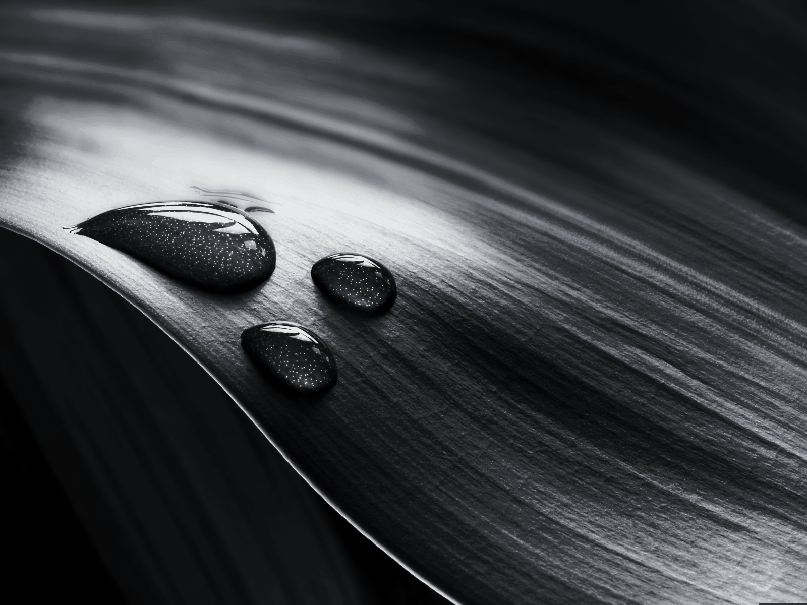 b & q carta da parati in bianco e nero,nero,fotografia di still life,fotografia in bianco e nero,bianco e nero,acqua
