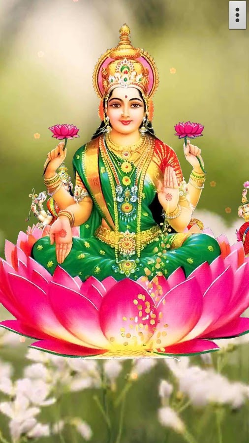 lakshmi live wallpaper,pink,sacred lotus,aquatic plant,lotus family,flower