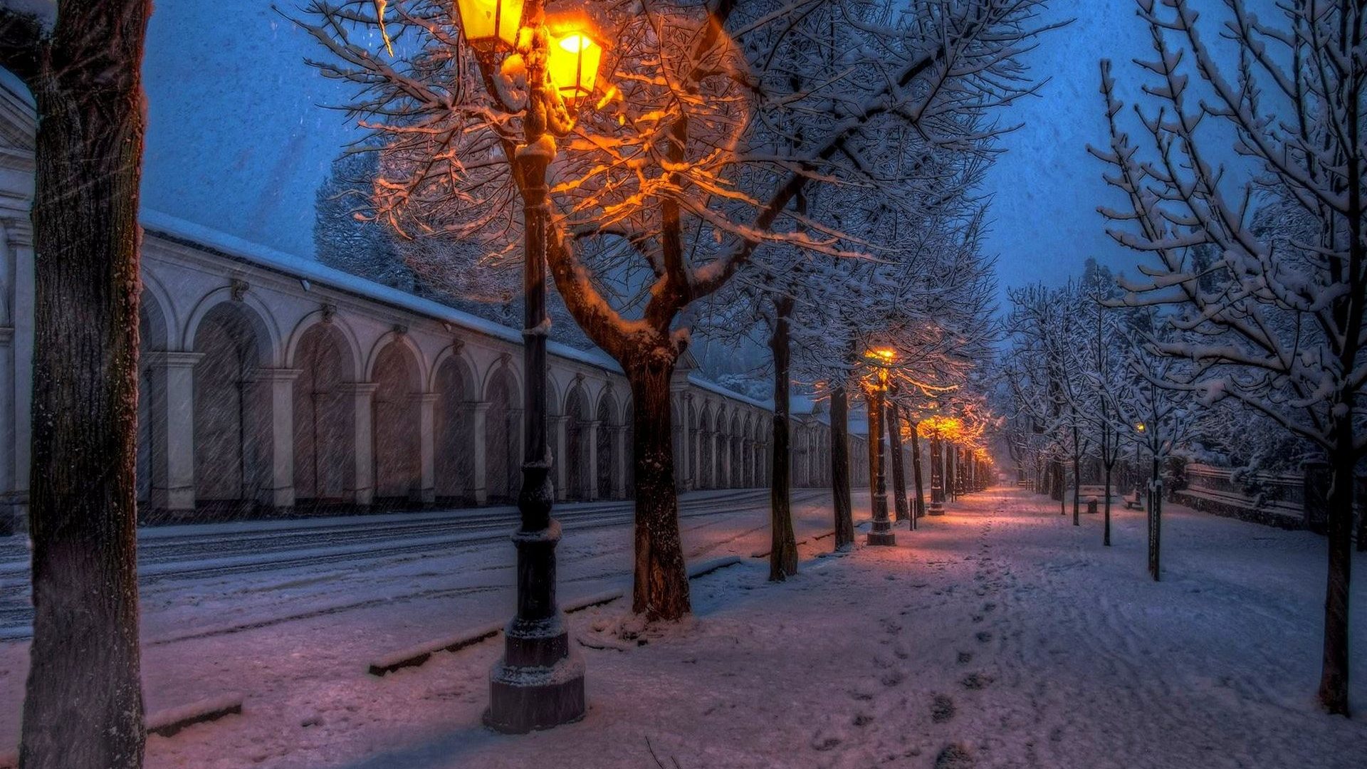 壁紙,街路灯,冬,雪,木,点灯