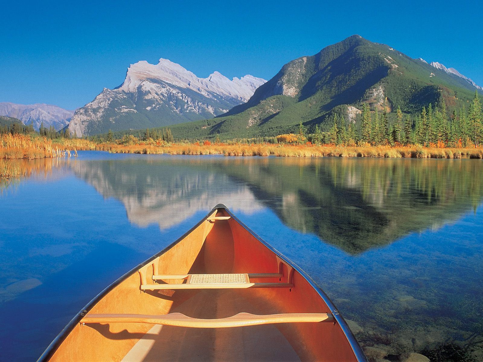 sfondo del desktop pacifico,riflessione,paesaggio naturale,natura,lago,montagna