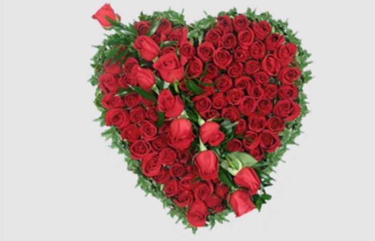 san valentino live wallpaper gratis,fiore,rosa,rosso,pianta,mazzo