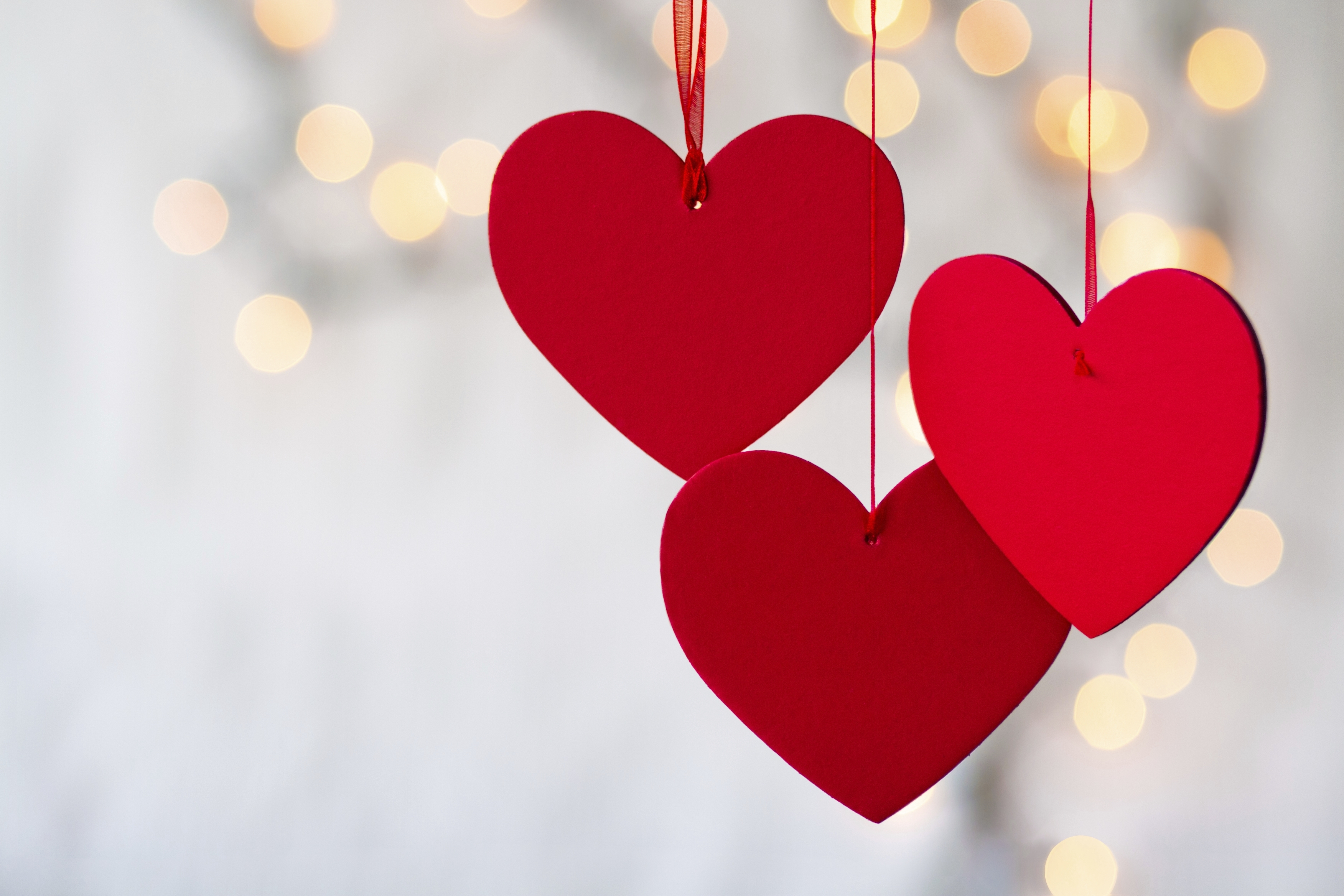 무료 발렌타인 라이브 배경 화면,심장,사랑,빨간,발렌타인 데이,심장