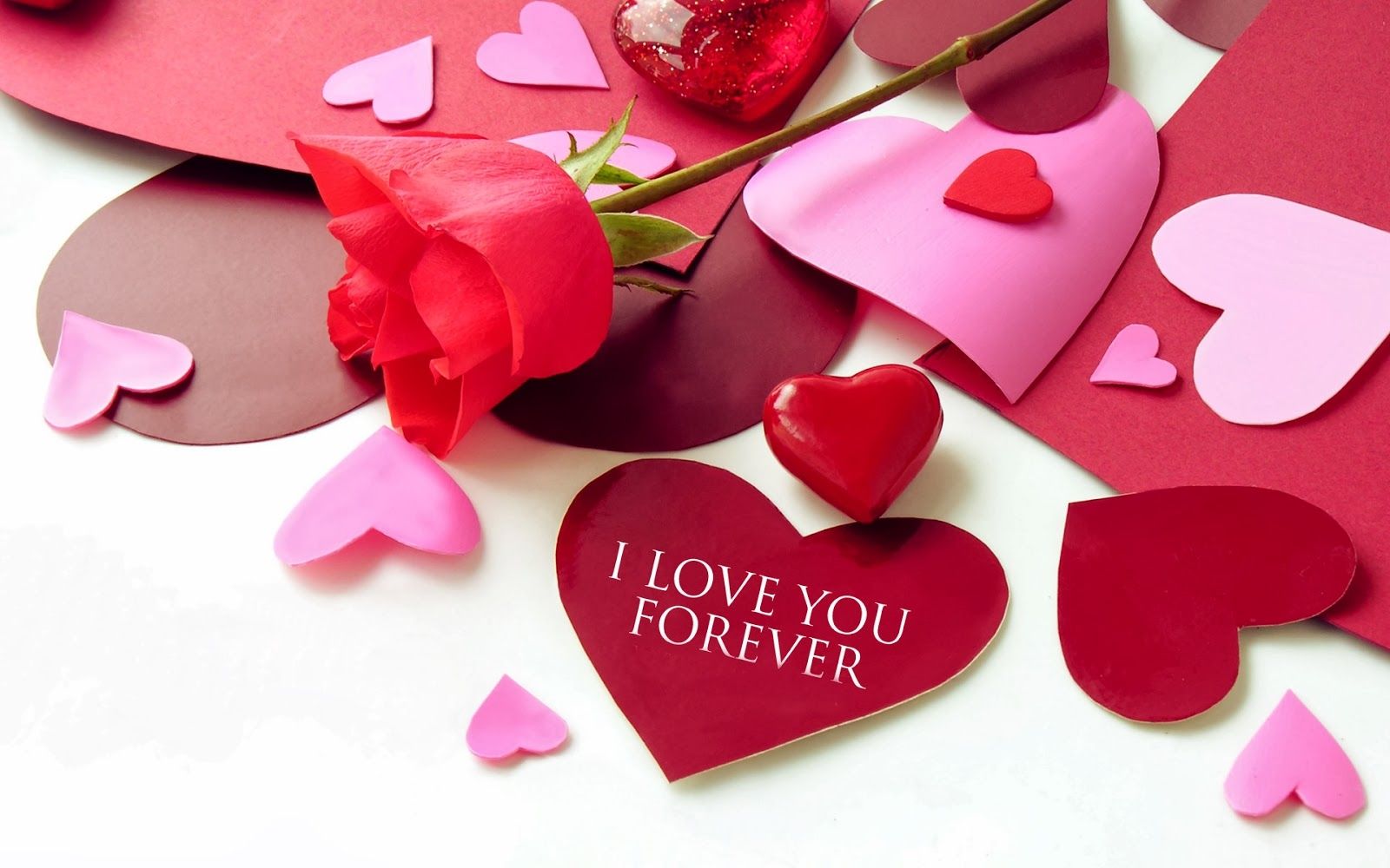 free valentine live wallpaper,heart,pink,valentine's day,love,petal