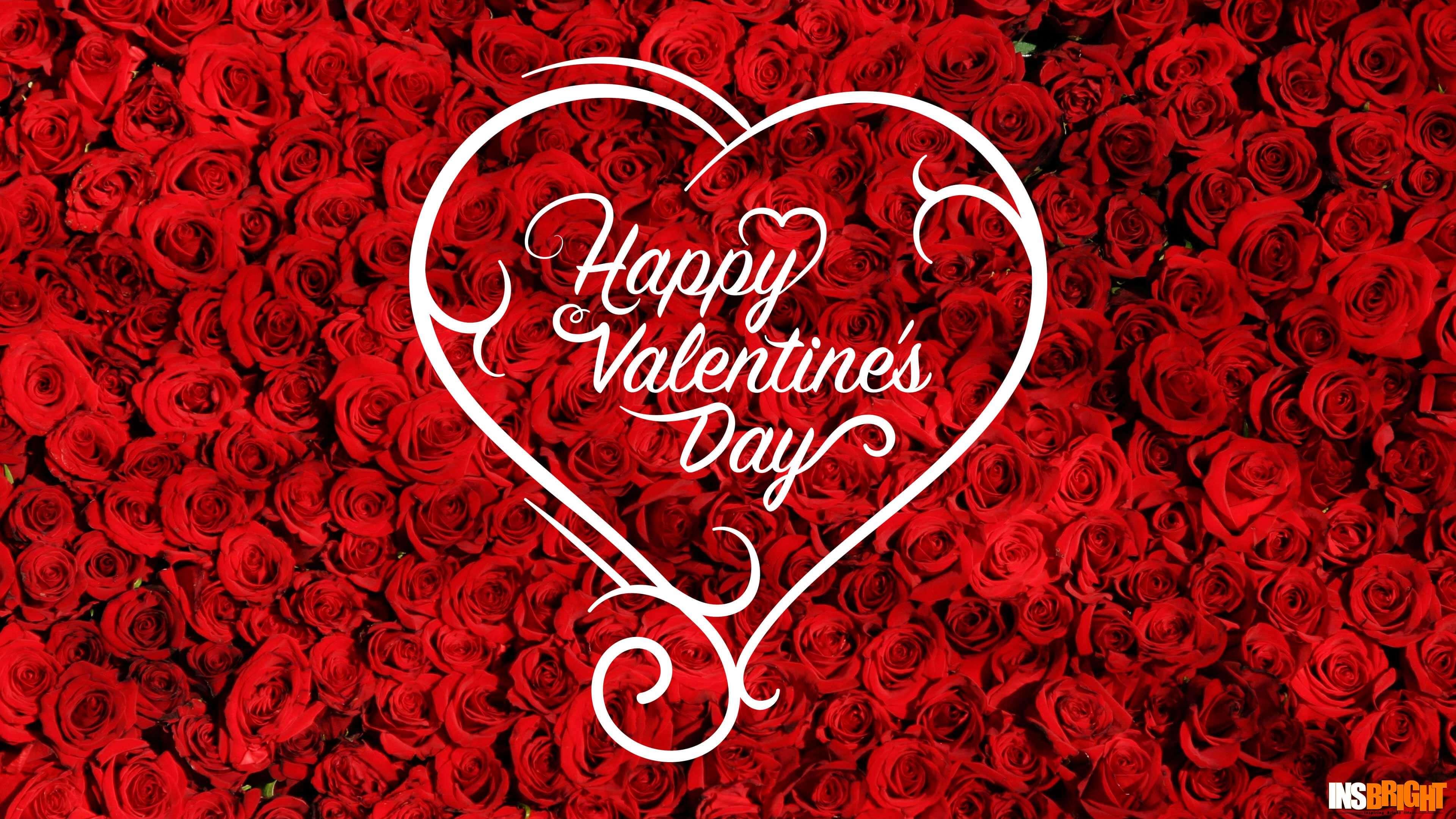 happy valentinstag wallpaper hd,rot,herz,valentinstag,text,liebe