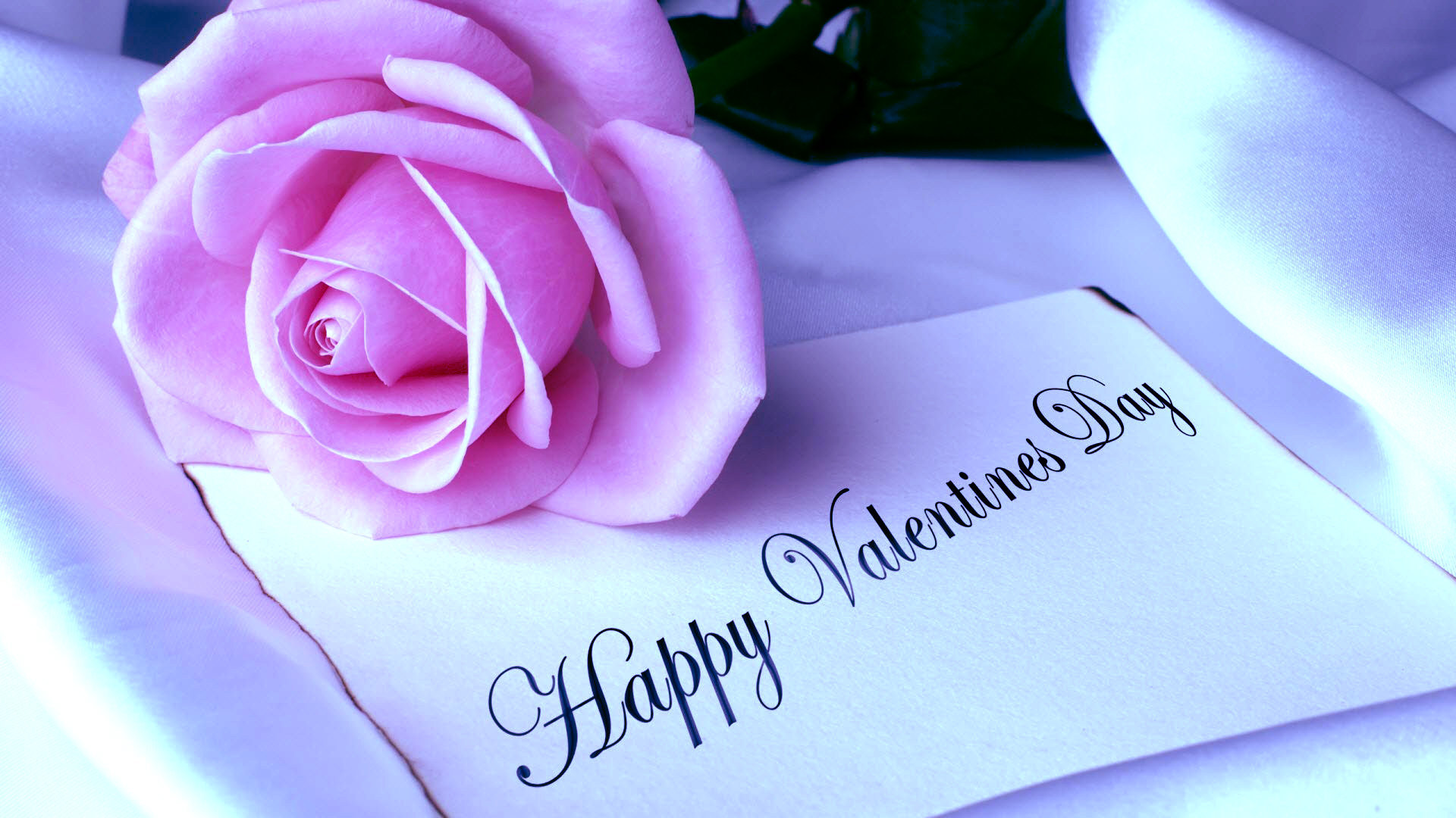 幸せなバレンタインデーの壁紙のhd,紫の,テキスト,花弁,ピンク,花