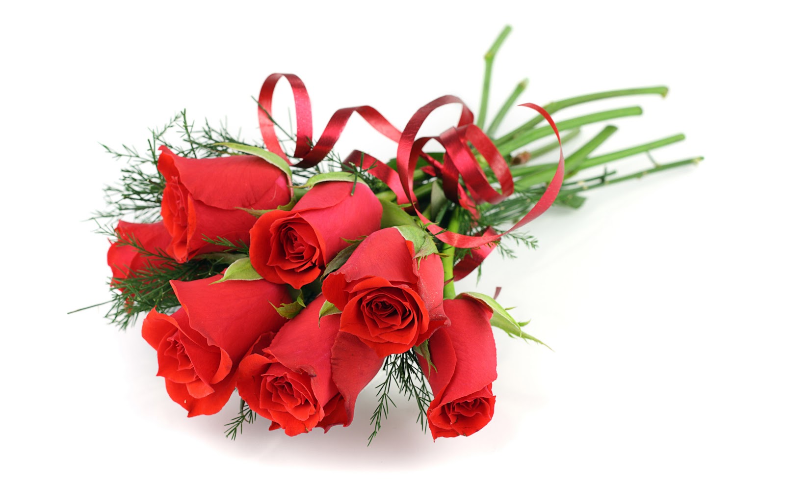 valentine day rose fondo de pantalla,flor,ramo de flores,rojo,cortar flores,rosa