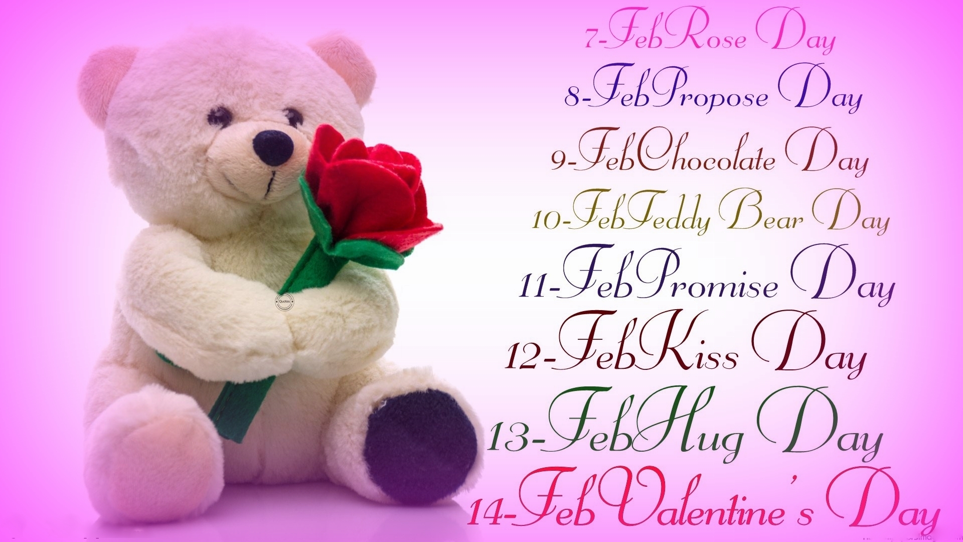 valentine week wallpapers,teddy bear,stuffed toy,pink,love,valentine's day