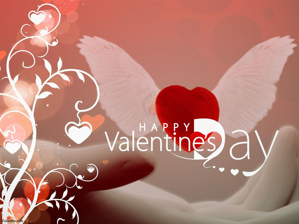 valentine day wallpaper 1024x768,love,heart,valentine's day,font,romance