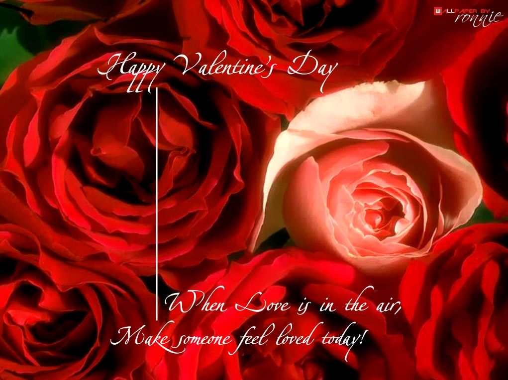 beautiful valentine wallpapers,garden roses,red,rose,flower,valentine's day