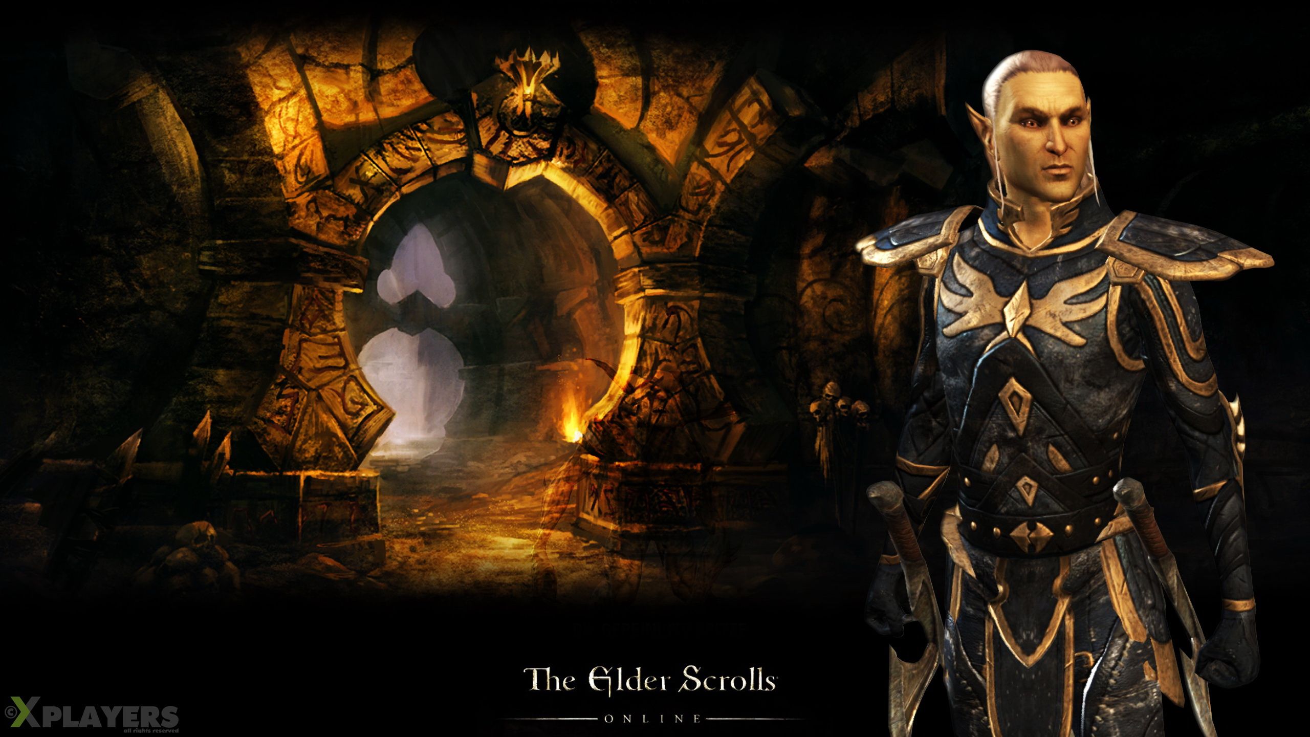 мин требования тесо. Teso прохождения. Teso порядок прохождения сюжета. Teso обои на рабочий стол. долина клинков teso.