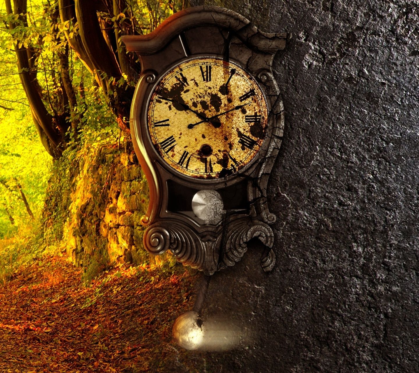 mobile clock wallpaper,clock,compass,tree,wall clock,still life photography
