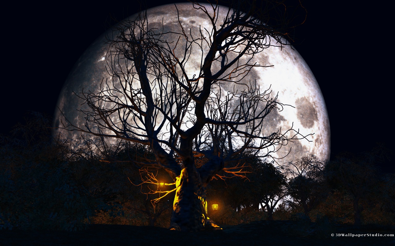fond d'écran 3d halloween,la nature,arbre,ciel,ténèbres,lumière
