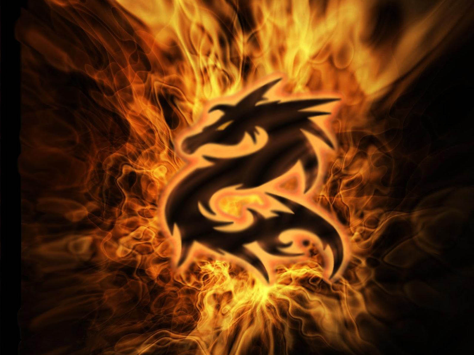 free dragon wallpaper,flame,fire,dragon,heat,fictional character