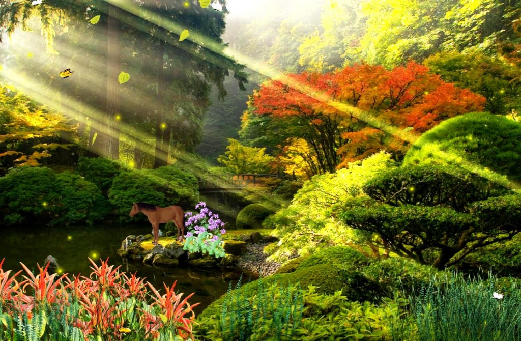 fondo de pantalla de naturaleza de dibujos animados,paisaje natural,naturaleza,jardín,jardín botánico,árbol