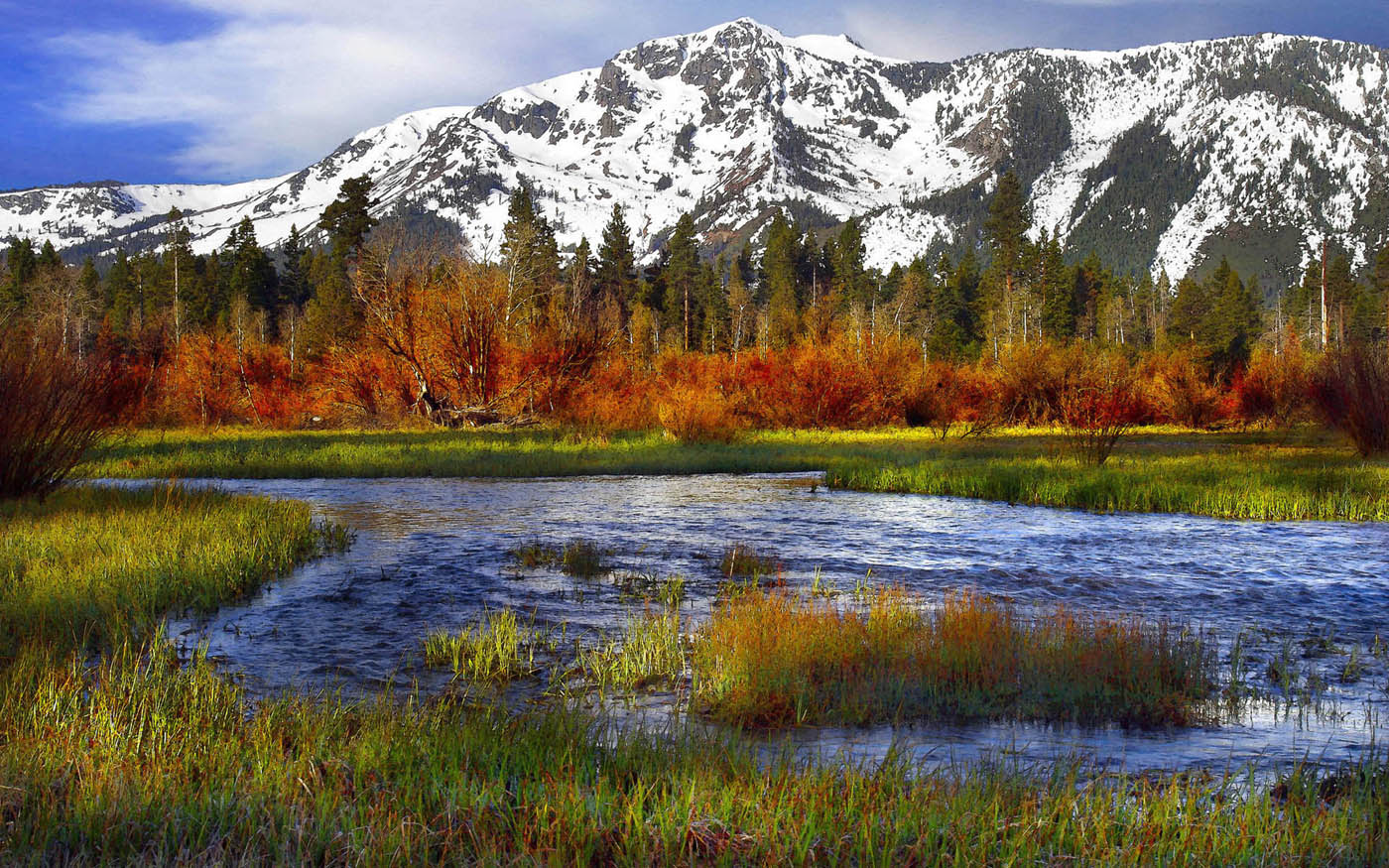 fondo de pantalla de montaña gratis,paisaje natural,naturaleza,reflexión,montaña,árbol