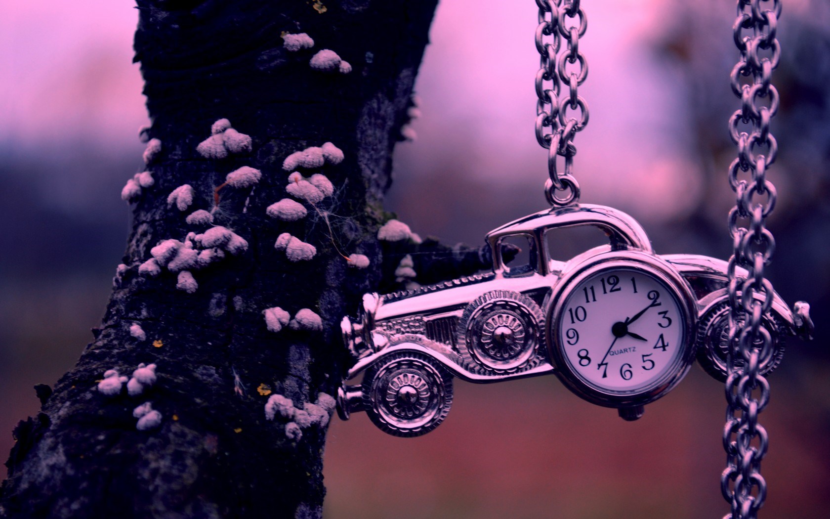 fond d'écran de l'horloge,violet,véhicule à moteur,violet,véhicule,photographie de nature morte