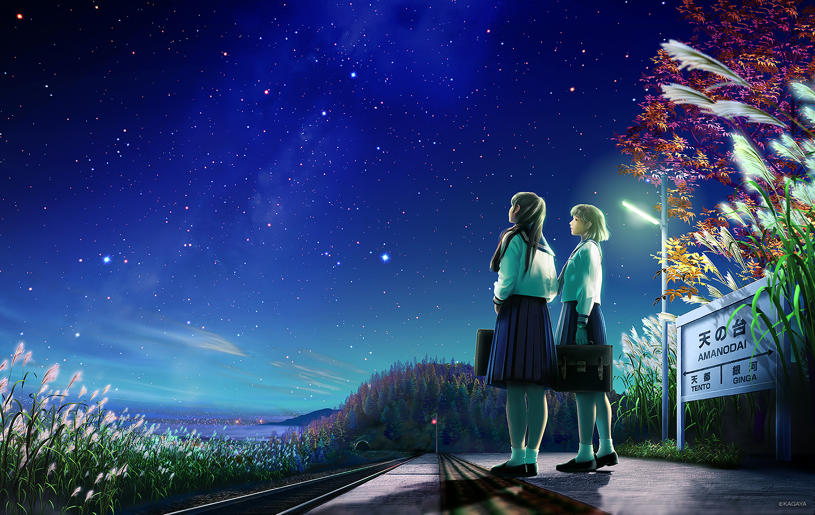 fond d'écran kagaya,ciel,lumière,nuit,la photographie,arbre