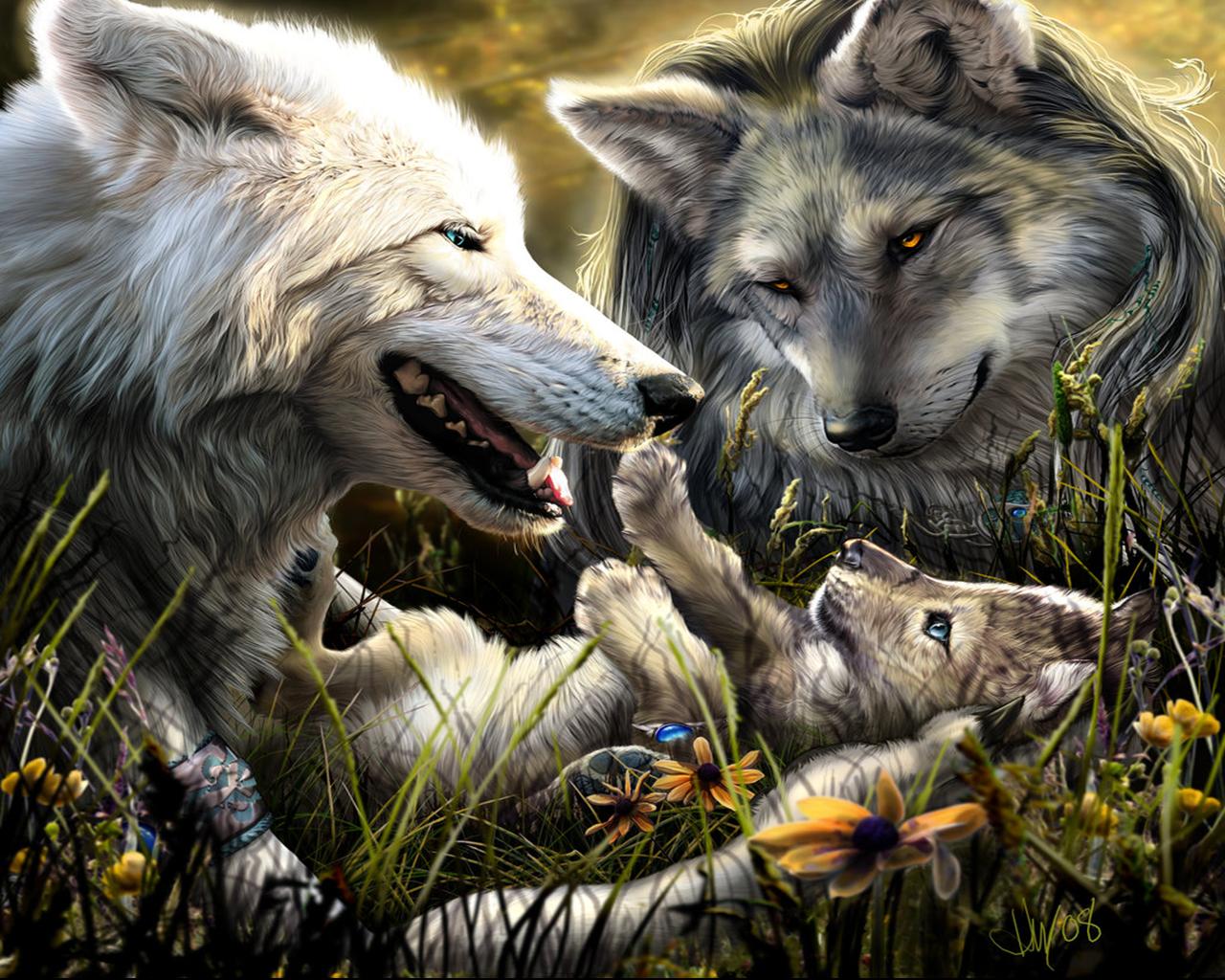 fond d'écran de loup gratuit,loup,faune,canis lupus tundrarum,chien inuit du nord,mythologie