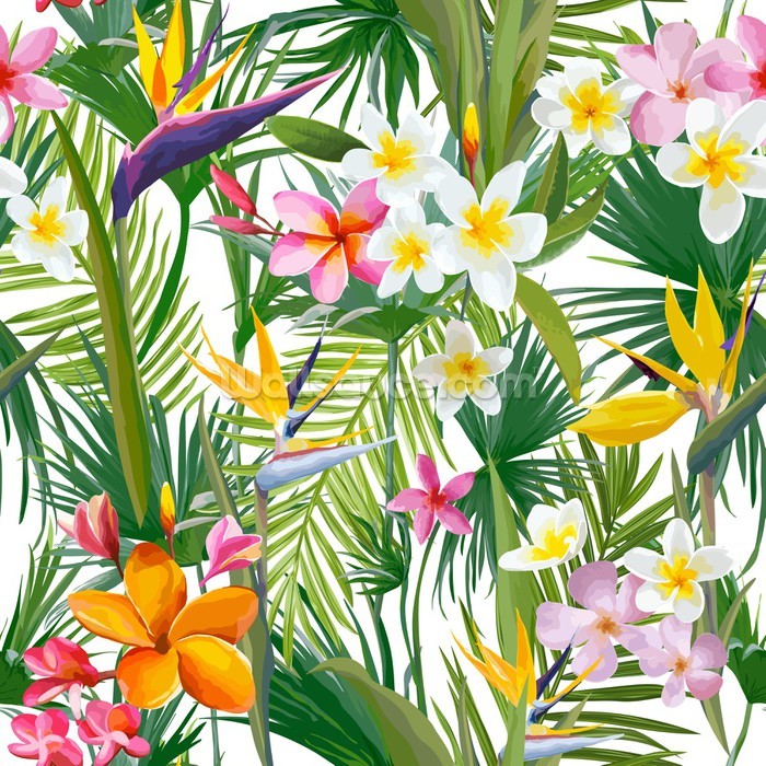 papier peint fleur tropicale,fleur,plante,frangipanier,plante à fleurs,pétale