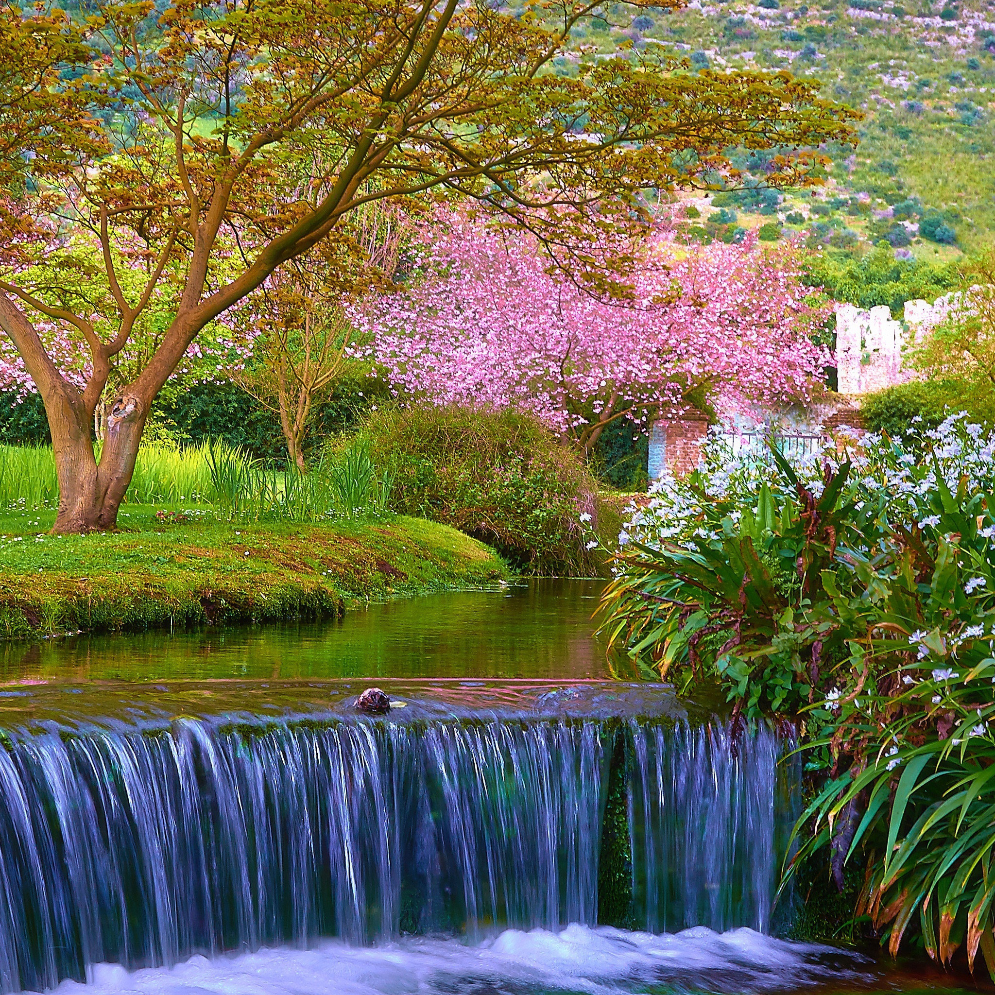 春の壁紙,自然の風景,自然,水域,水資源,水