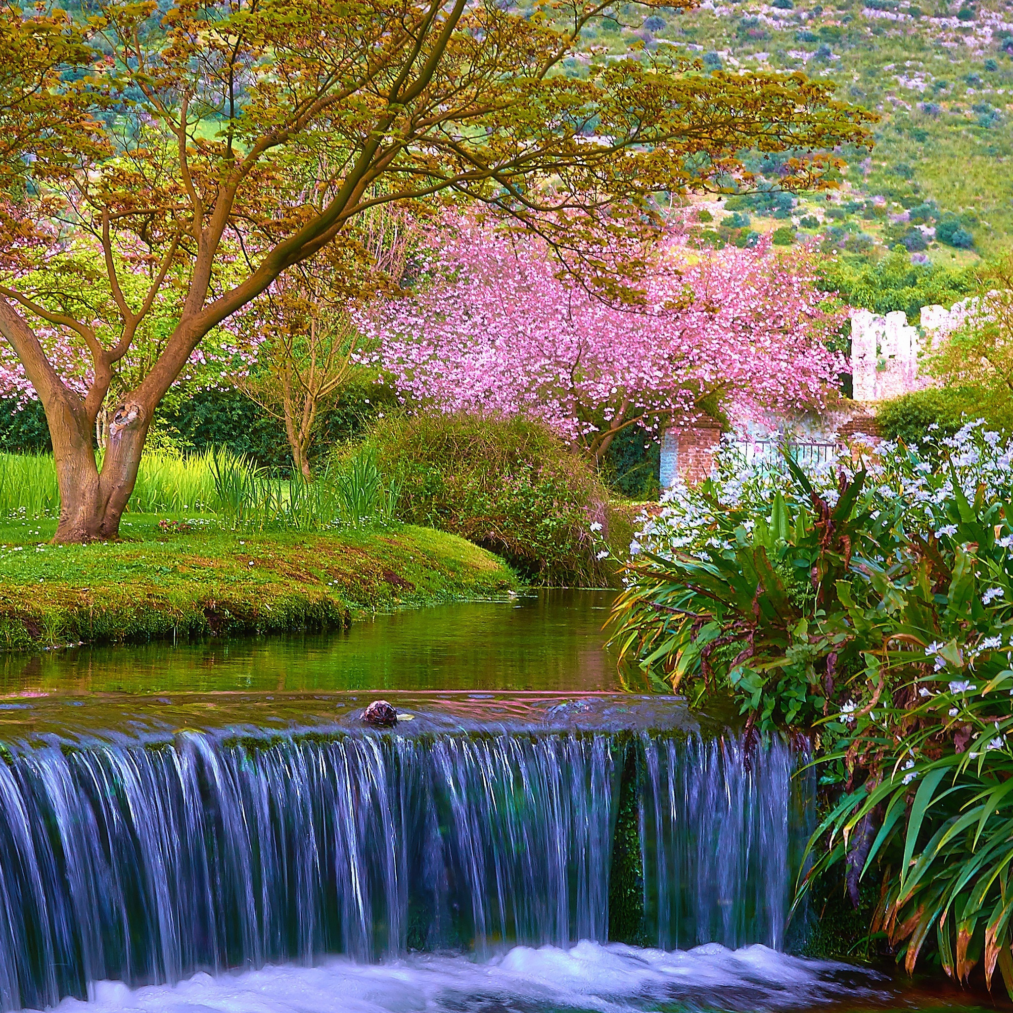 frühling tapete,natürliche landschaft,natur,gewässer,wasservorräte,wasser