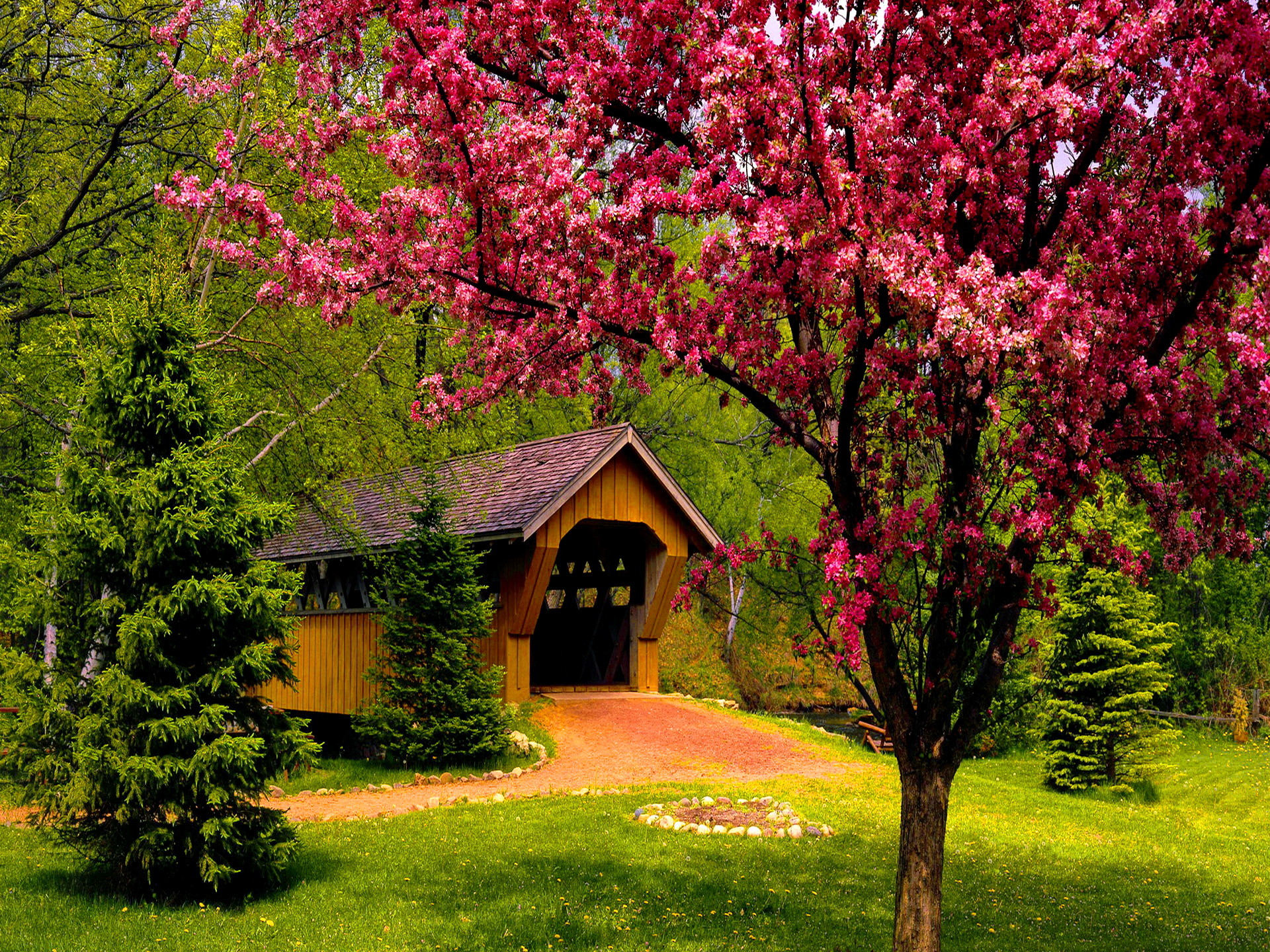 봄 날 벽지,나무,자연,봄,분홍,집